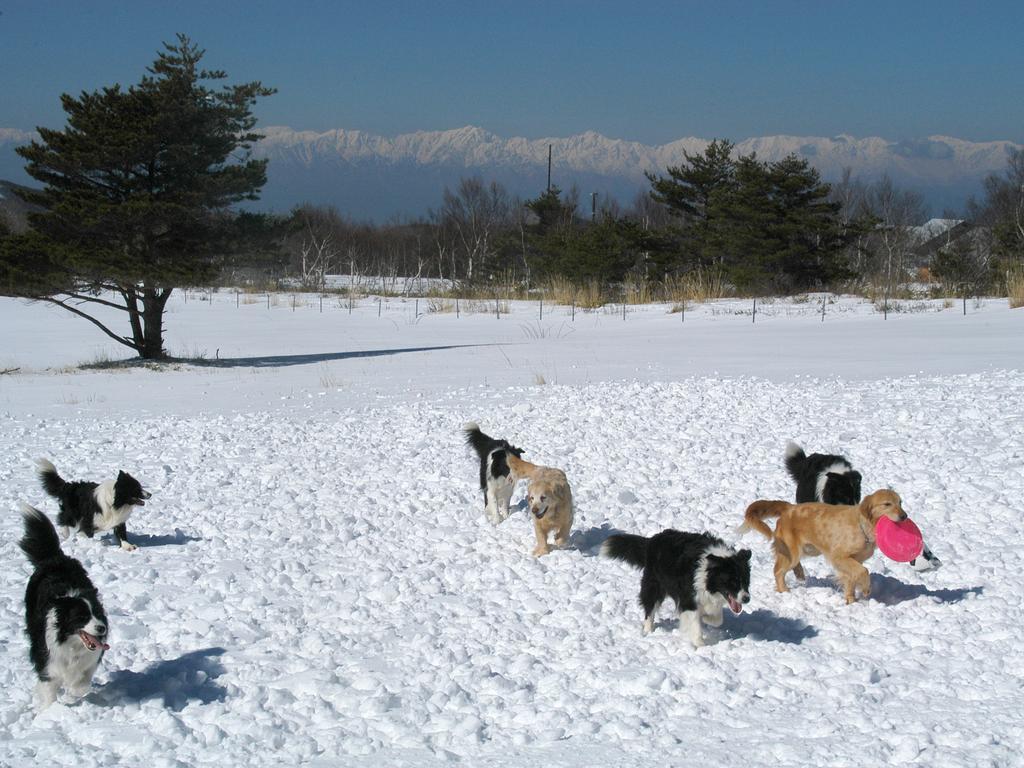 ホテルペンション チロル 須坂市 エクステリア 写真